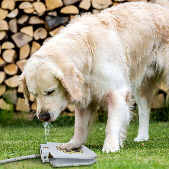 Automatic Outdoor Dog Water Fountain 32 » Pets Impress