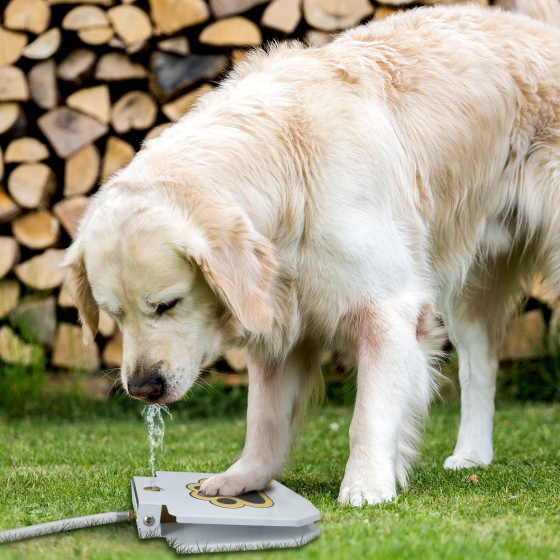 Automatic Outdoor Dog Water Fountain 42 » Pets Impress