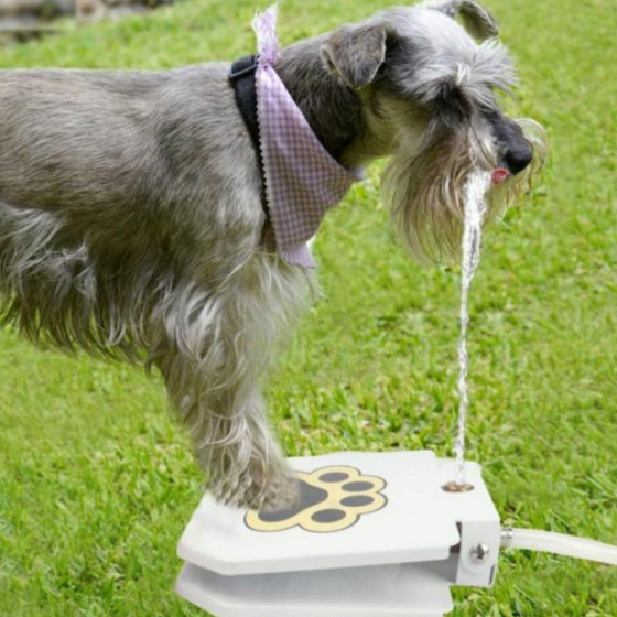 Automatic Outdoor Dog Water Fountain 41 » Pets Impress