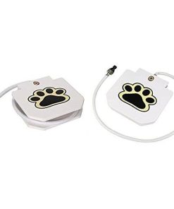 Automatic Outdoor Dog Water Fountain 13 » Pets Impress