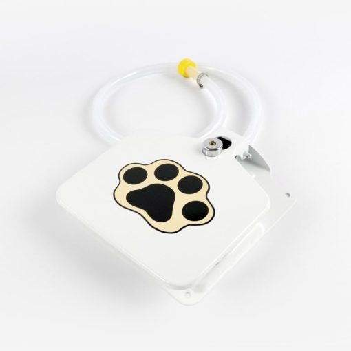 Automatic Outdoor Dog Water Fountain 1 » Pets Impress