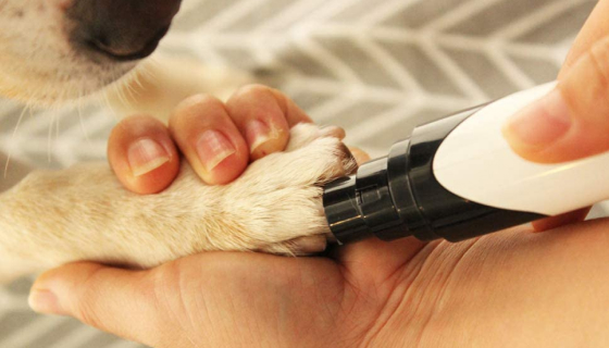 Rechargeable Professional Dog Nail Grinder 19 » Pets Impress