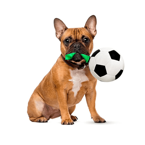 175-min Dog Soccer Ball Toy 7 » Pets Impress