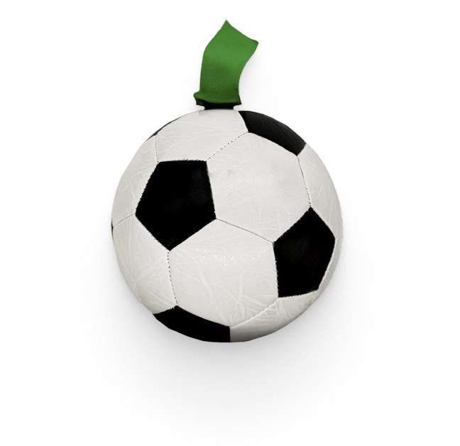 Dog Soccer Ball Toy 10 » Pets Impress