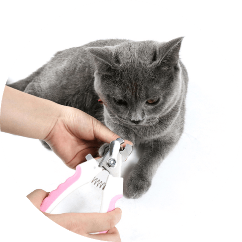 Pet Nail Clipper 14 » Pets Impress