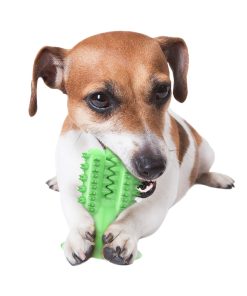 Cactus Dog Toothbrush 9 » Pets Impress