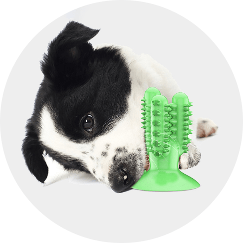 Cactus Dog Toothbrush 15 » Pets Impress