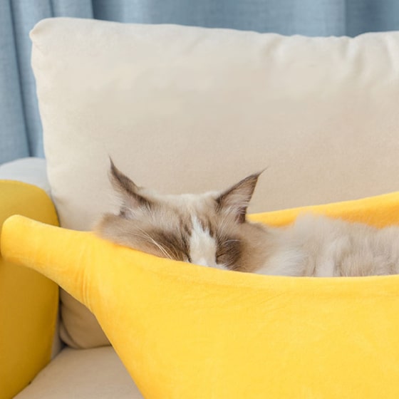 1-min (60) Banana Shaped Pet Bed 15 » Pets Impress