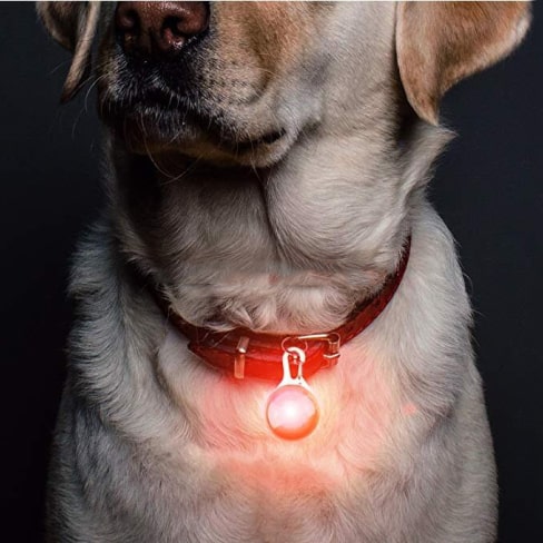 Pets Collar Safety Pendant 8 » Pets Impress