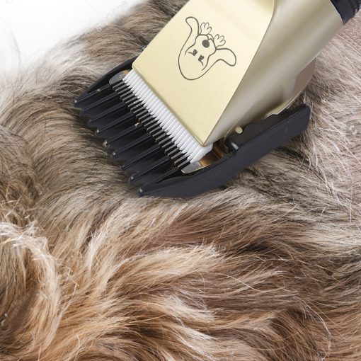 Pet Grooming Tool 6 » Pets Impress