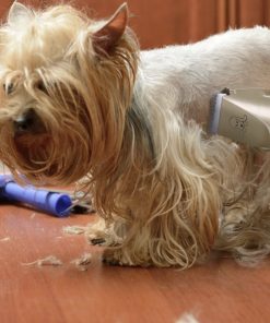 Pet Grooming Tool 18 » Pets Impress