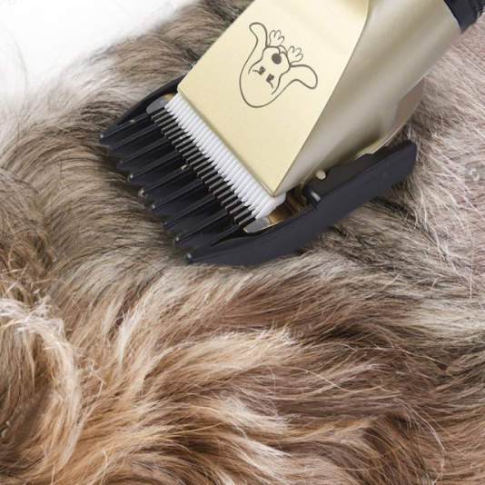 Pet Grooming Tool 33 » Pets Impress