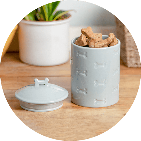 982_auto_x1-min Manor Grey Treat Jar 11 » Pets Impress