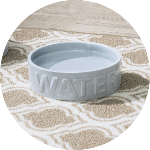 Classic Water Grey Bowl 13 » Pets Impress