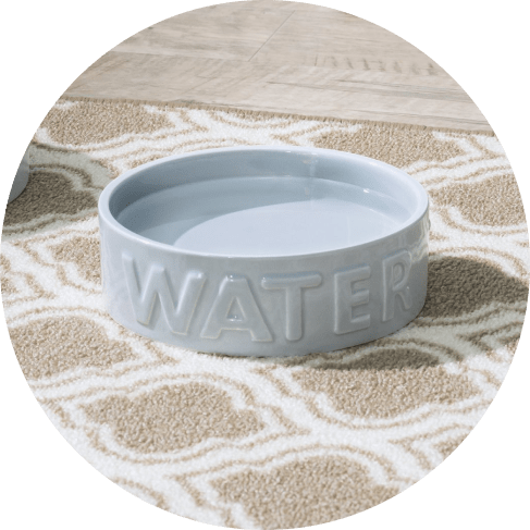 973-min Classic Water Grey Bowl 13 » Pets Impress