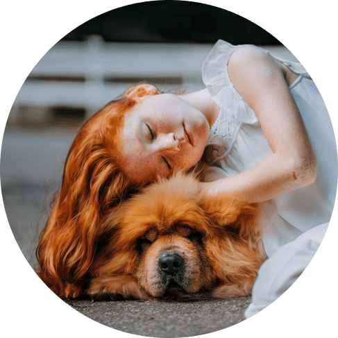 986-min ZeroBugs™ PET Ultrasonic Flea and Tick Repellent 9 » Pets Impress
