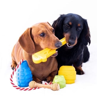 483-min Bullfrog - Chew Toy & Treat Dispenser 22 » Pets Impress