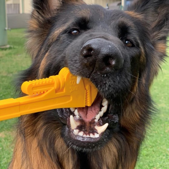 485-min Nylon Pipe Wrench - Dog Chew Toy 12 » Pets Impress