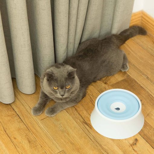 Anti-Splash Water Dispenser for Pets 4 » Pets Impress