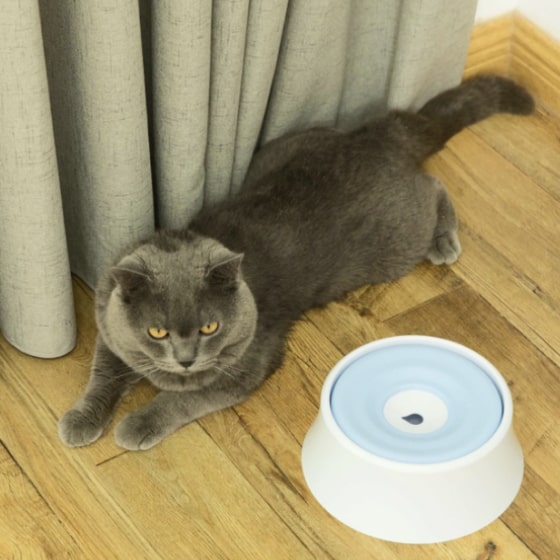 Anti-Splash Water Dispenser for Pets 24 » Pets Impress