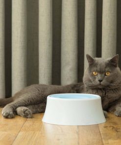 Anti-Splash Water Dispenser for Pets 12 » Pets Impress