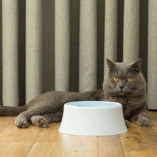 Anti-Splash Water Dispenser for Pets 5 » Pets Impress