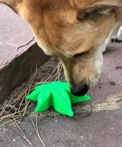 Colorado "Maple Leaf" Durable Nylon Dog Chew Toy for Aggress 9 » Pets Impress