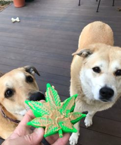 Colorado "Maple Leaf" Durable Nylon Dog Chew Toy for Aggress 7 » Pets Impress