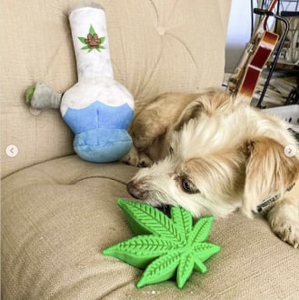 237-min Colorado "Maple Leaf" Durable Nylon Dog Chew Toy for Aggress 17 » Pets Impress