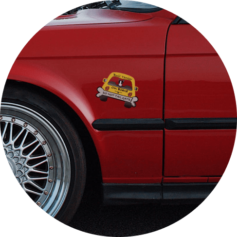 1-min Bull Terrier On Board Car Magnet 9 » Pets Impress
