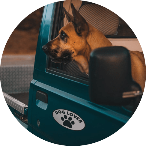 Dog Lover Oval Car Magnet 9 » Pets Impress