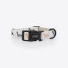 101 Dachshund' Dog Collar 10 » Pets Impress