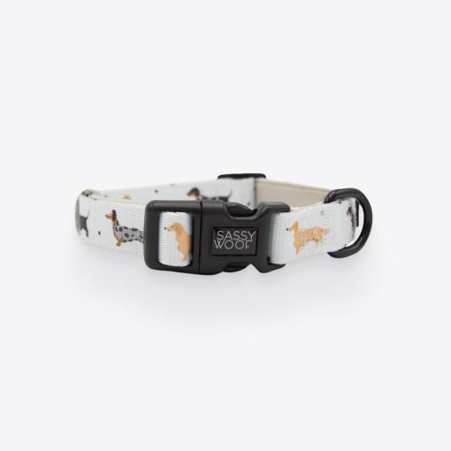 101 Dachshund' Dog Collar 1 » Pets Impress