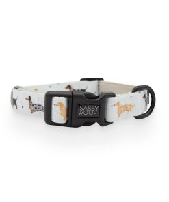 101 Dachshund' Dog Collar 6 » Pets Impress