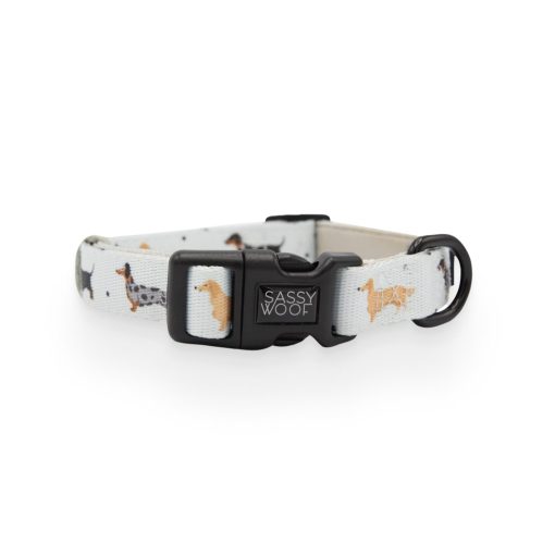101 Dachshund' Dog Collar 3 » Pets Impress