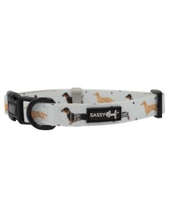 101 Dachshund' Dog Collar 4 » Pets Impress