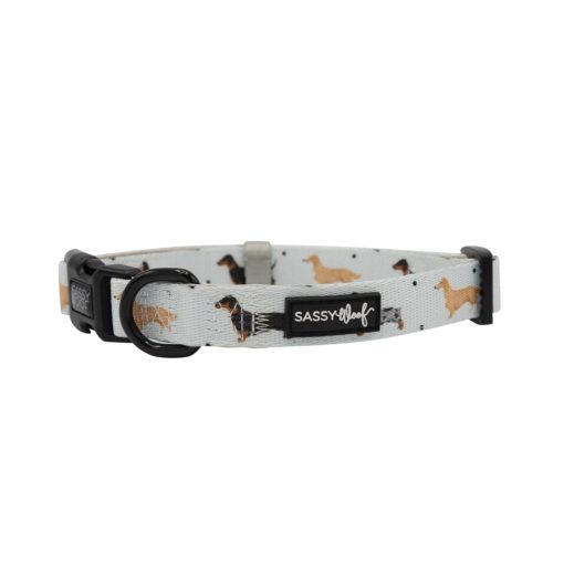 101 Dachshund' Dog Collar 2 » Pets Impress