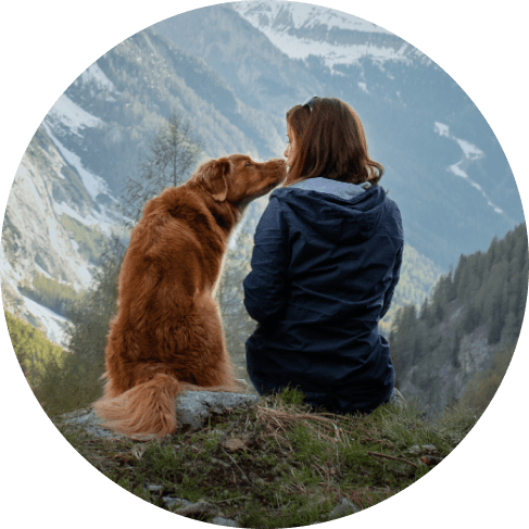 19pc Pet First Aid Travel Kit 12 » Pets Impress