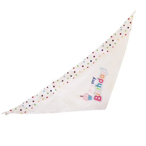 4-Piece Dog Birthday Kit 5 » Pets Impress