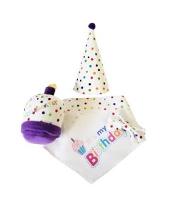 4-Piece Dog Birthday Kit 13 » Pets Impress