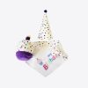 4-Piece Dog Birthday Kit 11 » Pets Impress