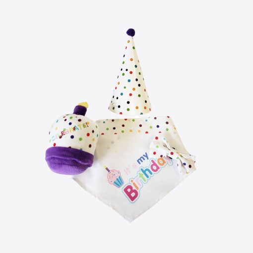 4-Piece Dog Birthday Kit 1 » Pets Impress