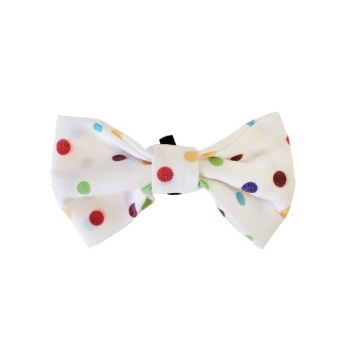 4-Piece Dog Birthday Kit 3 » Pets Impress