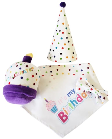 4-Piece Dog Birthday Kit 22 » Pets Impress
