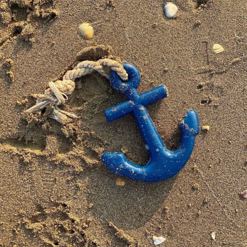 10-min Anchors Aweigh Rubber Dog Toy 10 » Pets Impress