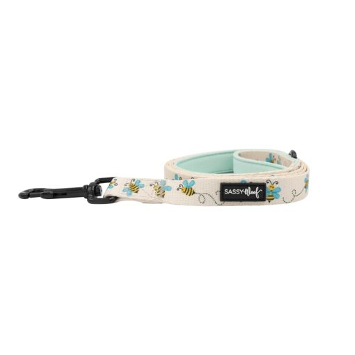 Bee Sassy' Dog Fabric Leash 3 » Pets Impress