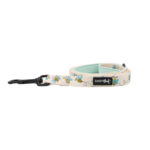 Bee Sassy' Dog Fabric Leash 5 » Pets Impress