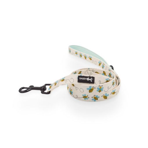 Bee Sassy' Dog Fabric Leash 3 » Pets Impress