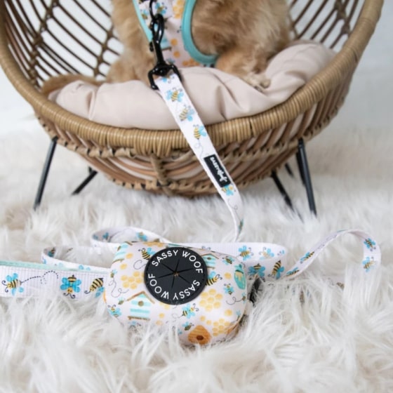 Mask Groбоиup-min Bee Sassy' Dog Waste Bag Holder 15 » Pets Impress
