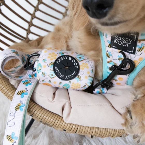 Mask тоюGroup-min Bee Sassy' Dog Waste Bag Holder 16 » Pets Impress